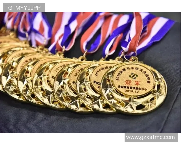 南京羽毛球队挑战赛个人能力分析与表现评估